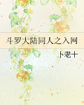 斗罗大陆同人之入网全文免费阅读