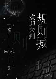 欢迎来到规则城[无限]在线阅读免费完整版全文免费阅读